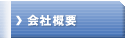 ЊTv